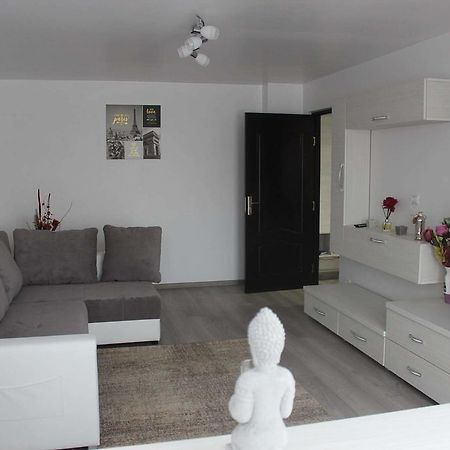 Apartament Anais Calimanesti Exterior photo